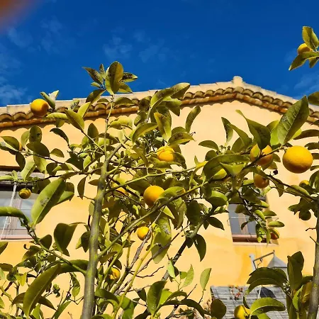 Holiday home Cal Colina - Karaktervol Met Prive Zwembad Pacs del Penedes